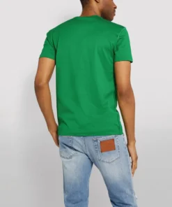 Dolce & Gabbana G8KJ9TFU7EQ1-T-SHIRT V0396-BRIGHT GREEN Logo T-Shirts -Dolce & Gabbana online Store dolce gabbana g8kj9tfu7eq1 t shirt 15176002 25865884 1000